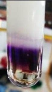 hopkins cole test positive result|Hopkins Cole Test (Adamkiewicz–Hopkins) Principle, Procedure, .